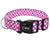 Wide Nylon Pet Dog Collar