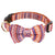 Cute Bowknot Dog Collar