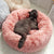 Plush Round Cat Bed