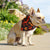 Halloween Dog Cat Bandana