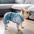 Cotton Dog Shirt with Coat