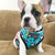 Cute Colorful Dog Harness